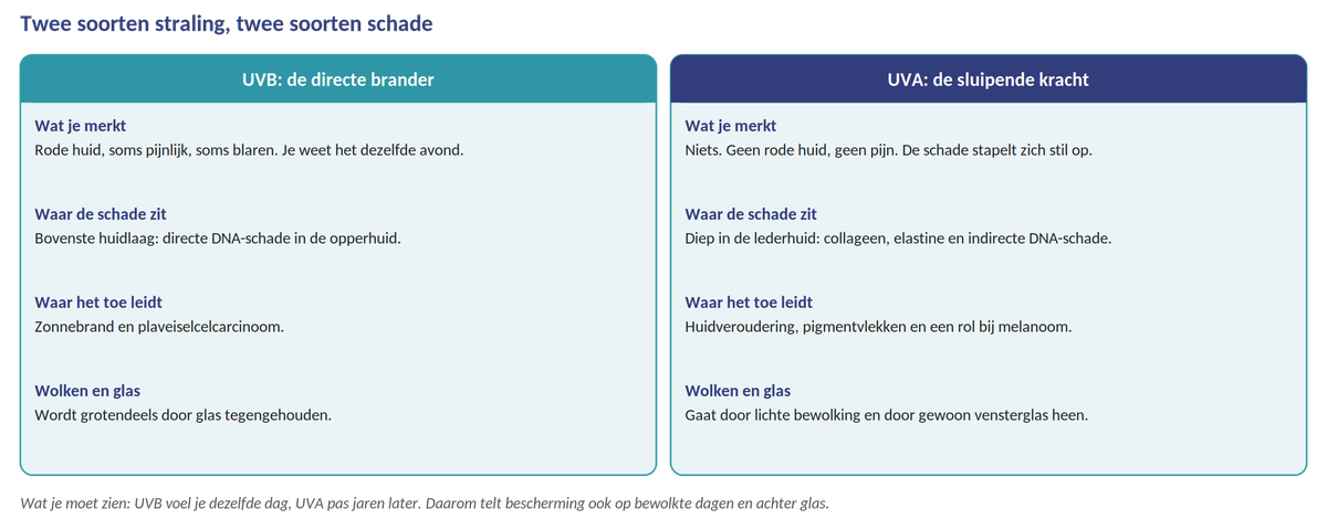 Schema UVB versus UVA werking in de huid